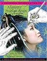 A Colorful Introduction to the Anatomy of the Human Brain by John P.J. Pinel