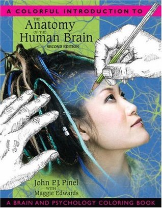 A Colorful Introduction to the Anatomy of the Human Brain (Paperback)