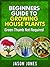 Beginners House Plants Guide