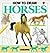 How to Draw Horses