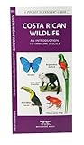 Costa Rica Wildlife: A Folding Pocket Guide to Familiar Species (A Pocket Naturalist Guide) Costa Rica Wildlife: A Folding Pocket Guide to Familiar Species (A Pocket Naturalist Guide)