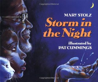 Storm in the Night (Paperback)