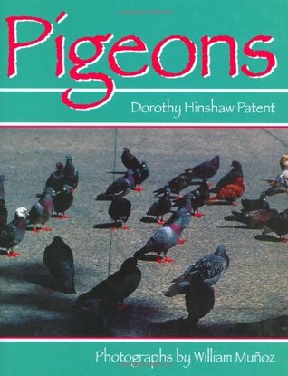 Pigeons (Hardcover)
