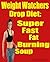Weight Watchers Drop Diet: Super Fast Fat Burning Soup