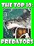 The Top 10: Predators! (The...