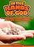 In The Hands of God. Twenty-Four Messages to Inspire You and ... by James Mayrose