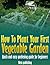 How To Plant Your First Vegetable Garden