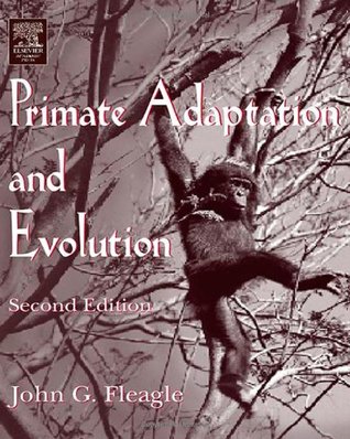 Primate Adaptation and Evolution (Hardcover)