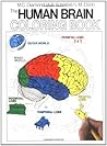 The Human Brain C...