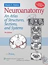 Neuroanatomy: An ...