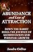 Abundance and Law of Attraction by Sandra Collins