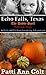 Echo Falls, Texas (Echo Fal...