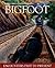 Bigfoot by Daniel Pérez