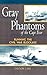 Gray Phantoms of the Cape Fear : Running the Civil War Blockade