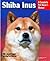Shiba Inus