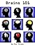 Brains 101
