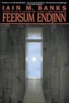 Feersum Endjinn: ...