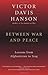 Between War and Peace: Lessons from Afghanistan to Iraq