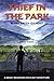 Thief in the Park: A Smoky Mountain Stick-boy Adventure (Smoky Mountain Stick-boy Adventures Book 2)