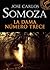 La dama número trece by José Carlos Somoza