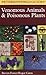 A Field Guide to Venomous Animals and Poisonous Plants of North America North of Mexico