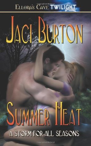 Summer Heat (Storm for All Seasons, #1)