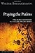 Praying the Psalms by Walter Brueggemann