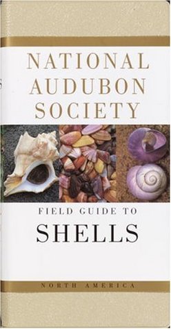 National Audubon Society Field Guide to North American Seashells (Paperback)