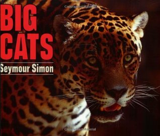 Big Cats (Paperback)