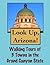 Look Up, Arizona! Walking Tours of 3 Towns In The Grand Canyon State (Look Up, America! Series)