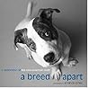 A Breed Apart: A Celebration of the New American Mutt