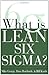 What is Lean Six Sigma