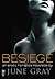 Besiege (A Disarm Novel Book 2)