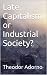 Late Capitalism or Industrial Society?