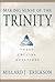 Making Sense of the Trinity by Millard J. Erickson