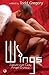Wings: Subversive Gay Angel Erotica