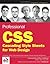 Professional CSS / Cascading Style Sheets for Web Design by Christopher Schmitt