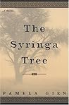 The Syringa Tree