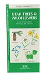 Utah Trees & Wildflowers (Nature Observation North America)