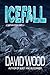 Icefall by David  Wood