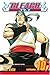 Bleach, Volume 10