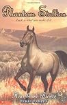 Heartbreak Bronco (Phantom Stallion, #13) Heartbreak Bronco (Phantom Stallion, #13)