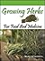 Growing Herbs For Food And ...