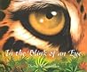 In the Blink of an Eye In the Blink of an Eye