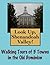 Look Up, Shenandoah Valley! Walking Tours of 5 Towns In The Old Dominion (Look Up, America! Series)
