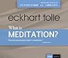 What Is Meditation?: Realizing the Life That You Are