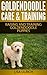 Goldendoodle Care & Trainin...