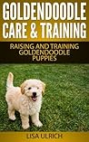 Goldendoodle Care...