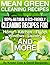 Mean Green Cleaning Recipes by David Benjamin