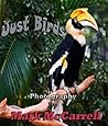 Just Birds: Photography by Mark McCarrell